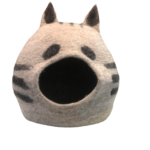 NCFC 5006 side front