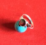 NCSR-8006 (RL-36C Garnet)